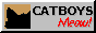 Catboys Meow!